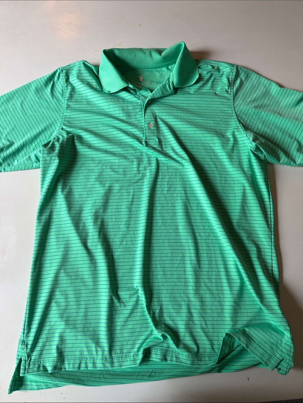 Striped Mint Green Polo Shirt